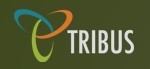 tribus real estate